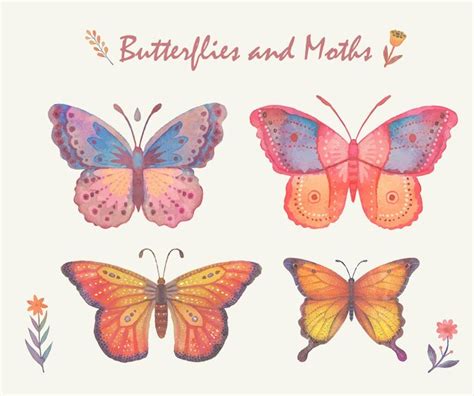 Premium Vector | Vector watercolor butterflies collection