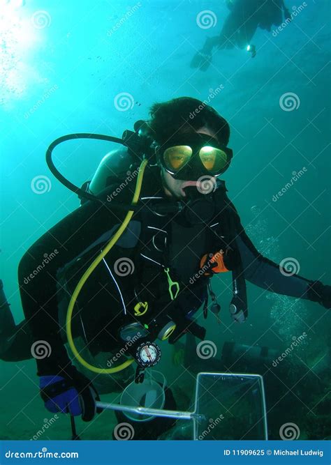 Scuba Diver Stock Image Image Of Outdoors Ocean Scuba 11909625