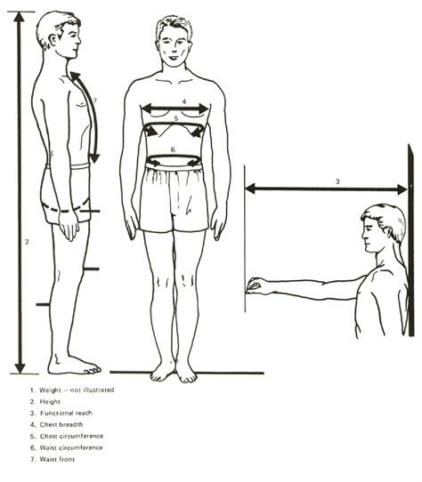 Figure 1 From Anthropometry Of Law Enforcement Officers Semantic Scholar