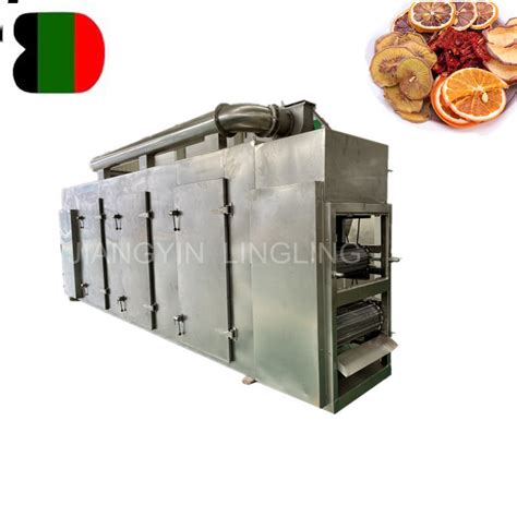 Dw Automatic Tunnel Conveyor Continuous Fruit Vegetable Mango Chili