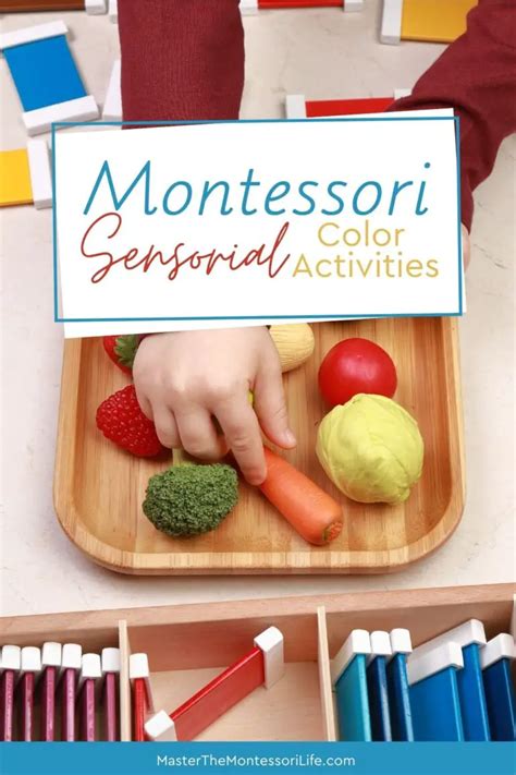 Montessori Sensorial Color Activities Master The Montessori Life