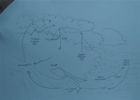 Sulfur Cycle Diagram | Quizlet