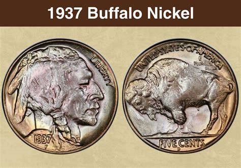 1935 Buffalo Nickel Coin Value (Errors List, "D", "S" & No Mint Mark ...