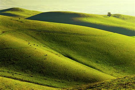 Rolling Hills In Livermore By Copyright C Richard Susanto