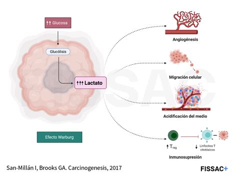 Frecuencia Cardiaca 1 Fissac