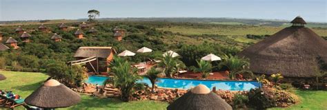 From Cape Town: 2-Day Safari at Garden Route Game Lodge | GetYourGuide