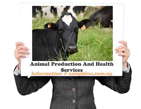 Universities That Offer Animal Production and Health Services