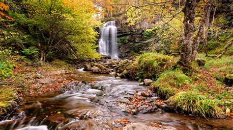 Wallpaper Espana Rio Waterfall Agua Otono Salto D Tronco