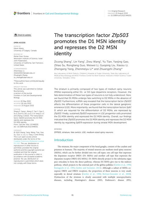 PDF The Transcription Factor Zfp503 Promotes The D1 MSN Identity And