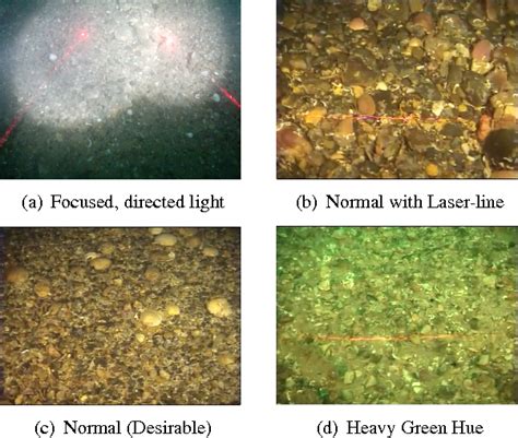 Figure 1 from AUTOMATIC CLASSIFICATION OF SEABED SUBSTRATES IN ... 