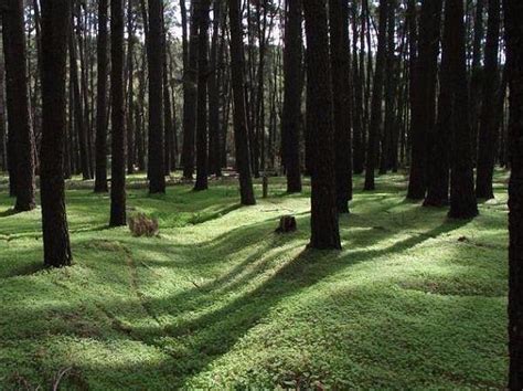 Langford Park Jarrahdale All You Need To Know Before You Go