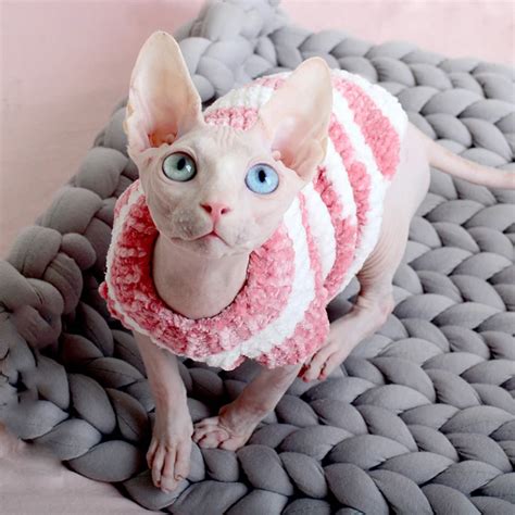 Cat Clothes Autumn And Winter Warm Sphinx Hairless Cat Costume Cat