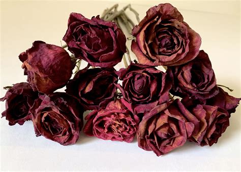 12 Red Roses Natural Air Dried Roses Flower Arrangement Diy Bouquet