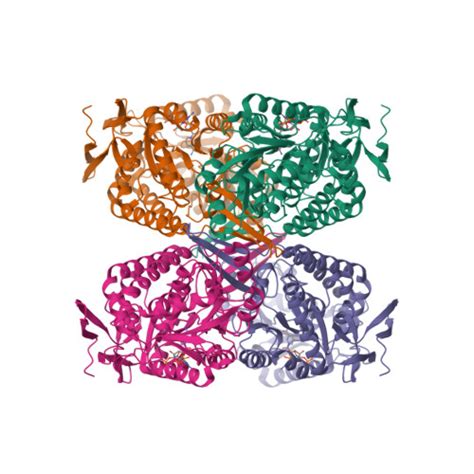 RCSB PDB 8RWK CryoEM Structure Of The Central Ald4 Filament