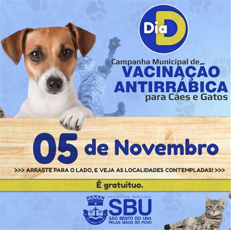 Dia D Campanha Municipal De Vacina O Antirr Bica Para C Es E Gatos