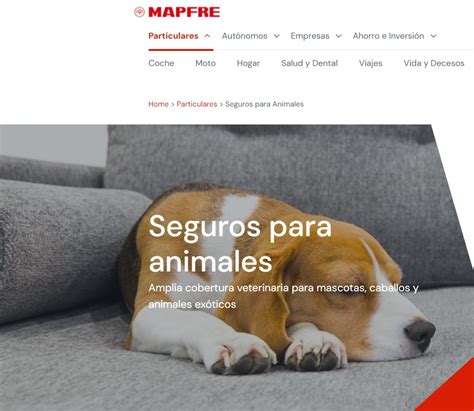 Los Mejores Seguros Para Mascotas