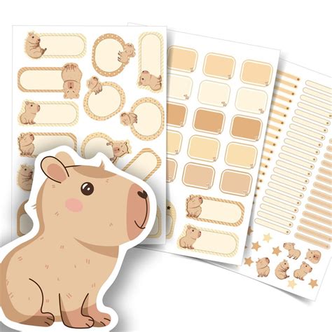 Etiquetas Escolares Capivara Personalizadas Kit Jumbo Shopee Brasil