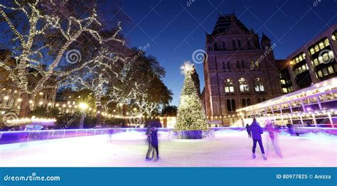 Night View of Natural History Museum Stock Image - Image of people ...