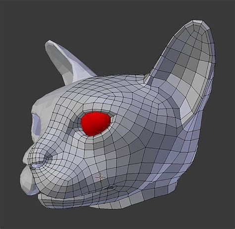 Face topology, Cat model, Cats