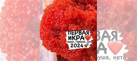 Икра купить в Волгограде | Товары для дома и дачи | Авито