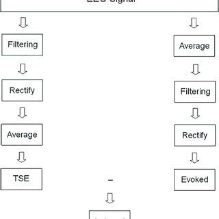 Schematics Of EEG Analyses To Obtain Evoked And Induced Modulations