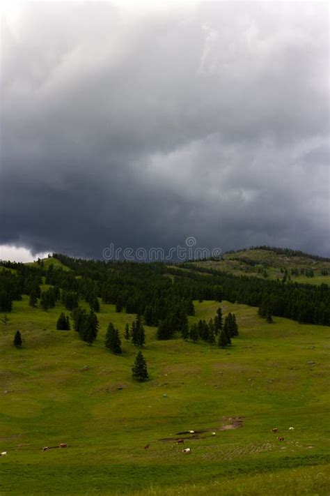landscape  heavy cloud  field green hills  stormy sky bad