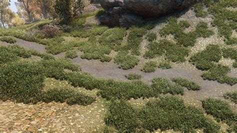 More Color Matching Progress For Grass For Enb At Skyrim Special Edition Nexus Mods And Community