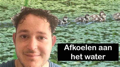 Fotograferen Met Zomerhitte Youtube