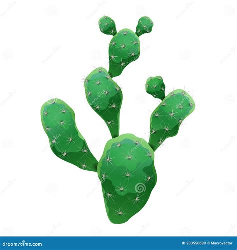 Nopal Cactus Slice And Whole Vector Vintage Hatching Color