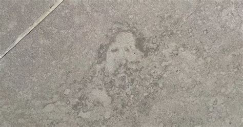 Bloke Stripped Naked For Shower Only To See Three Inch Jesus Staring Back At Him Daily Star