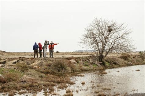 Dünya Sulak Alanlar Günü nde Uzmanlar Uyardı Sular Alanlarımız Kuruyor