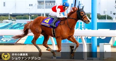 エンプレス杯 Jpnii 2023｜特集おトク情報楽天競馬