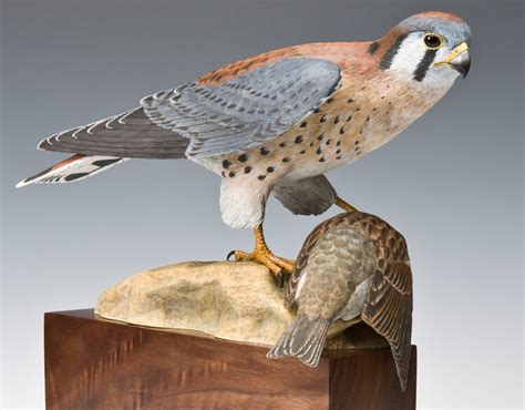 Felton Bird Carving And Wildlife Drawing Art Gallery