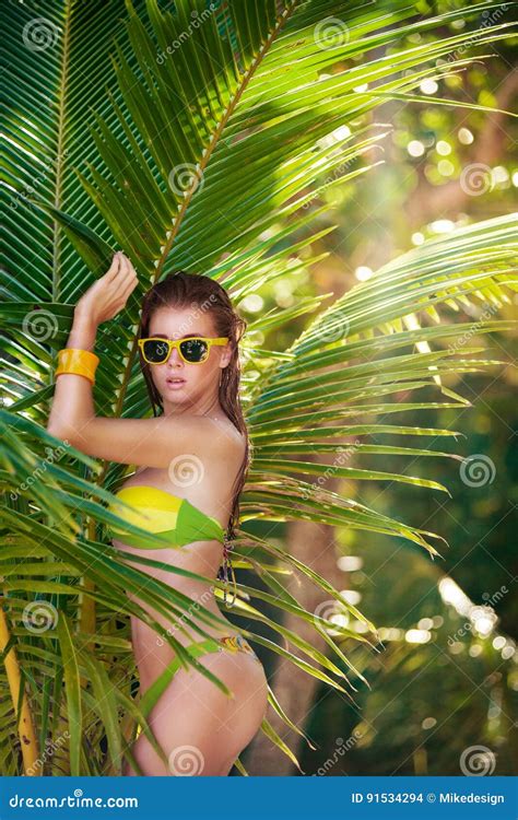 Mooie Vrouw In Bikini Onder Tropische Palm Groene Vectorachtergrond Met Exemplaarruimte Stock