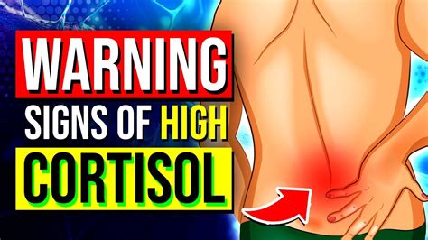 10 Warning Signs Your Cortisol Levels Are Way Too High And Ways To Lower