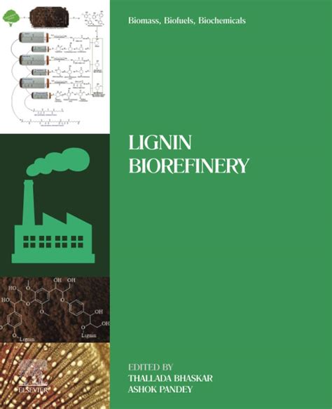 Buy Biomass Biofuels Biochemicals Lignin Biorefinery Book Online At