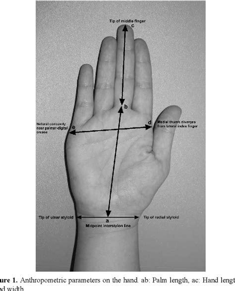 Figure 1 From Determination Of Hand And Palm Surface Areas As A