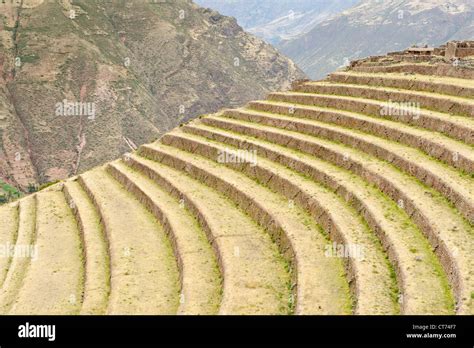 Agricultural Terraces Built By The Inca At Pisac Urubamba Peru Stock