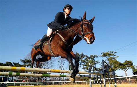 Horse Jumping Wallpapers - Top Free Horse Jumping Backgrounds - WallpaperAccess