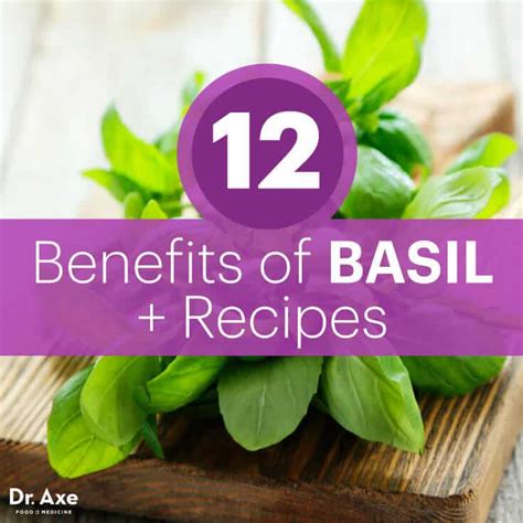 12 Benefits of Basil + Recipes - Dr. Axe