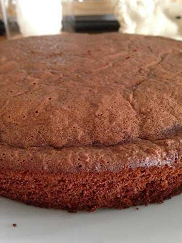 Gâteau Au Chocolat Et à La Courgette Qui Déchire Sans Beurre Et Sans