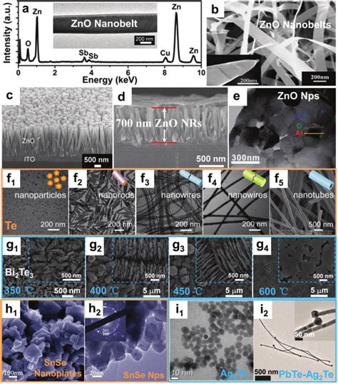 Various Kinds Of TE Nanomaterials A Scanning Electron Microscopy