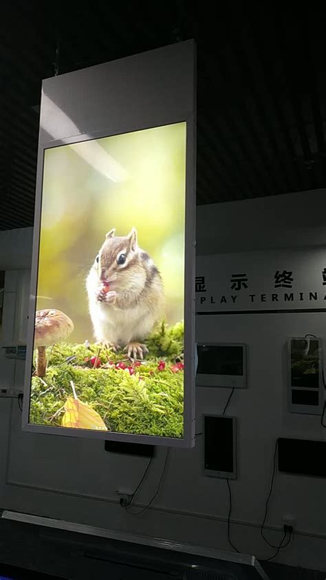 Full Hd Double Side Hanging Shop Window Lcd Digital Signage