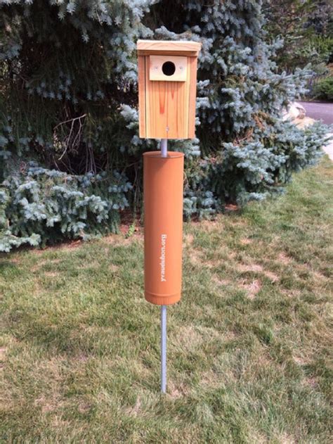 Mountain Bluebird Nesting Habitat Project - Yellowstone Valley Audubon