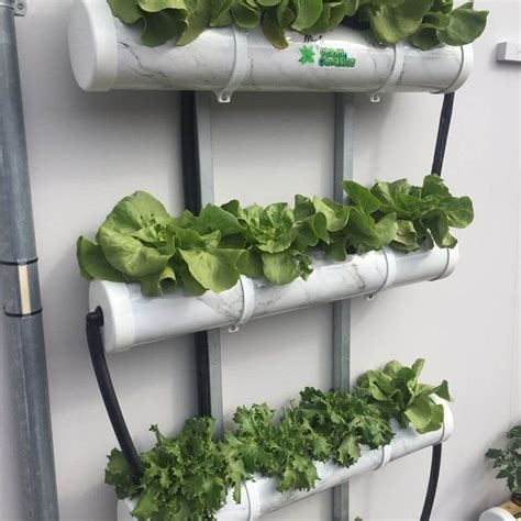 How To Make Home Garden And Fresh Vegetables By Pvc Pipe Jardiner A