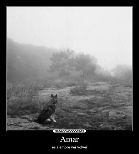 Amar Desmotivaciones