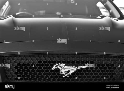 Mustang Logo Wallpaper Black