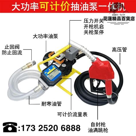 電動抽油泵12v24v220v汽油柴油加油泵車載防爆輸油泵手提式抽油機 露天市集 全台最大的網路購物市集