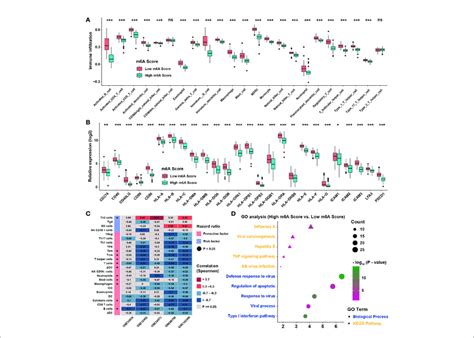 Tme Infiltration Characteristics Of M A Score A The Abundance Of