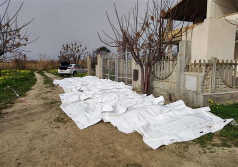 Strage Di Migranti A Crotone Vittime Mattarella Ue Governi Il